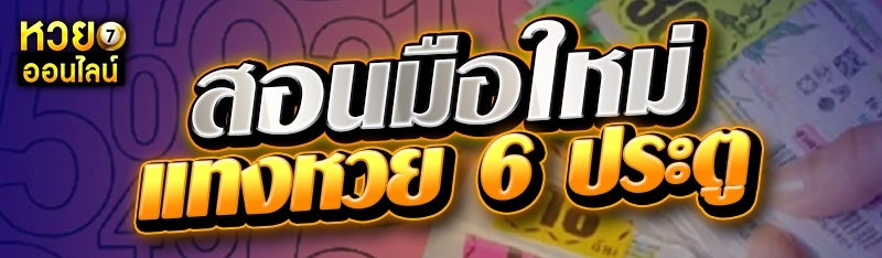 สอนมือใหม่แทงหวย 6 ประตู